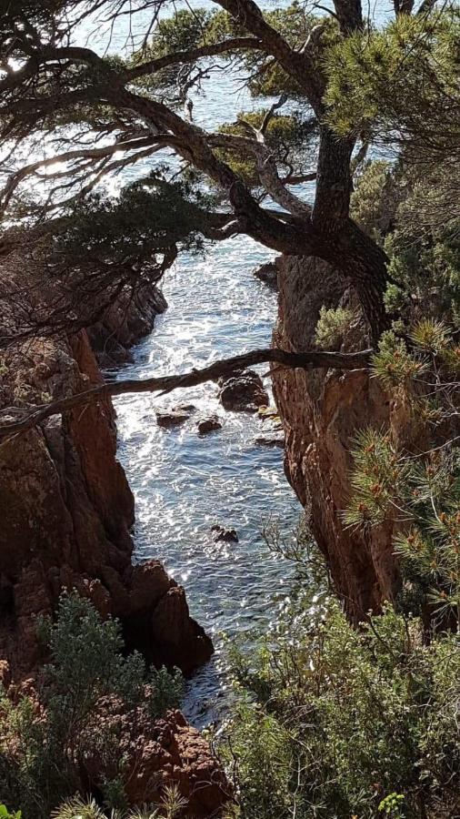 Saint Raphael, Cap Esterel Le Hameau. Vue Mer Kültér fotó